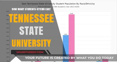 Exploring East Tennessee State University's Student Population