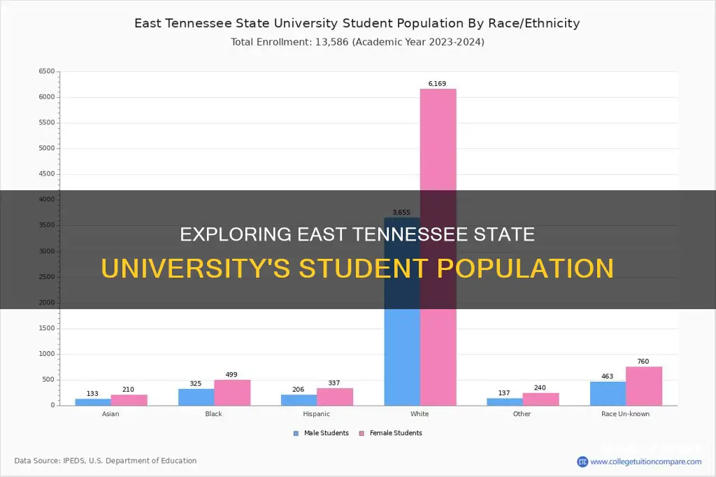 how many students attend east tennessee state university