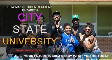 Exploring Elizabeth City State University's Student Population