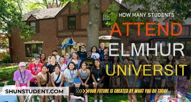 Elmhurst University's Student Population: How Many Attend?