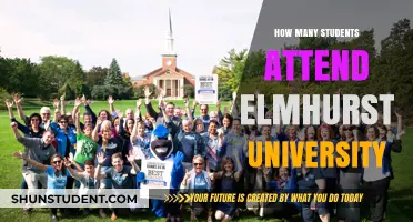 Elmhurst University's Student Population: How Many?