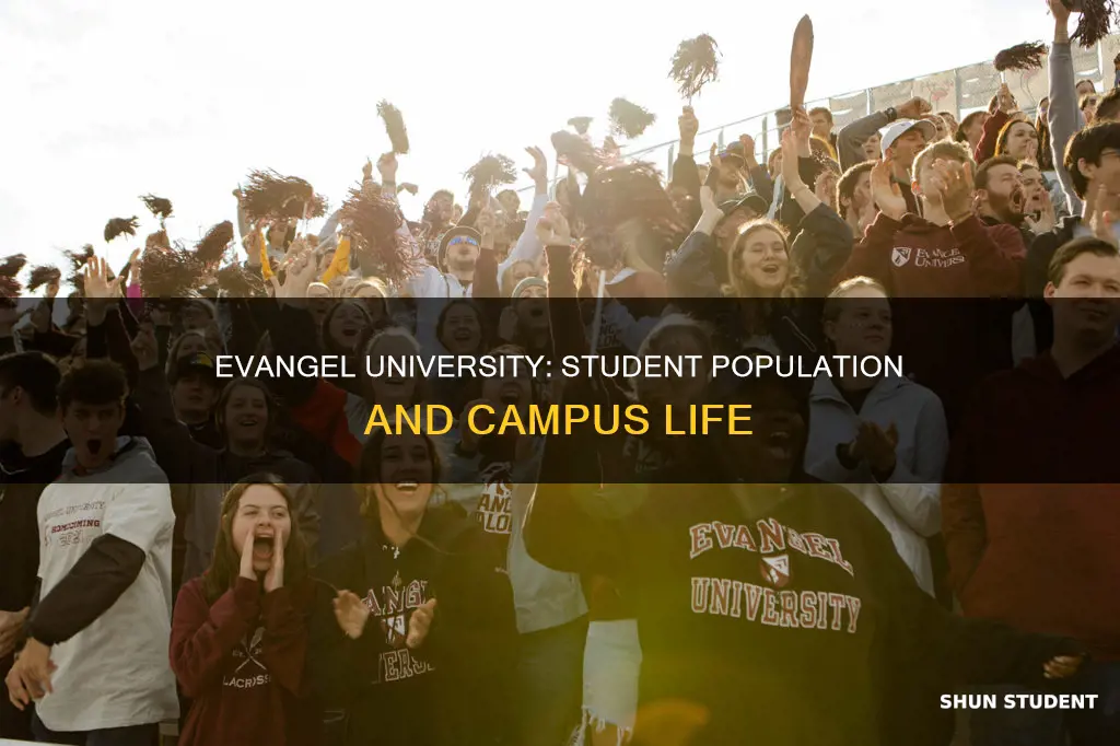 how many students attend evangel university