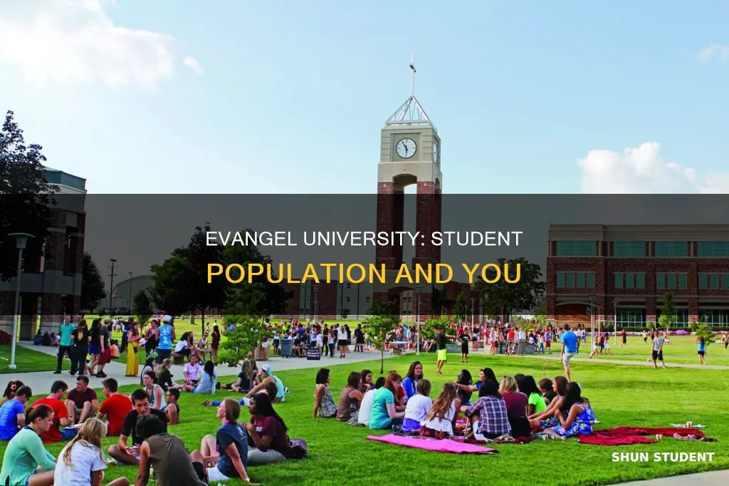 how many students attend evangel university