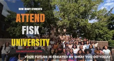 Attendee Figures for Fisk University: A Comprehensive Overview