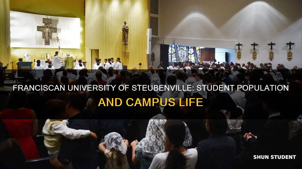 how many students attend franciscan university of steubenville