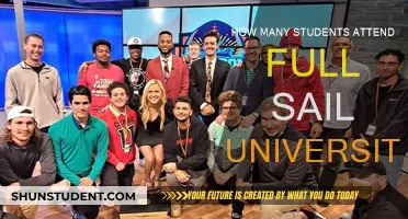 Full Sail University: Enrollment and Student Population Insights