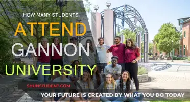 Gannon University: A Student-Centric Campus Community