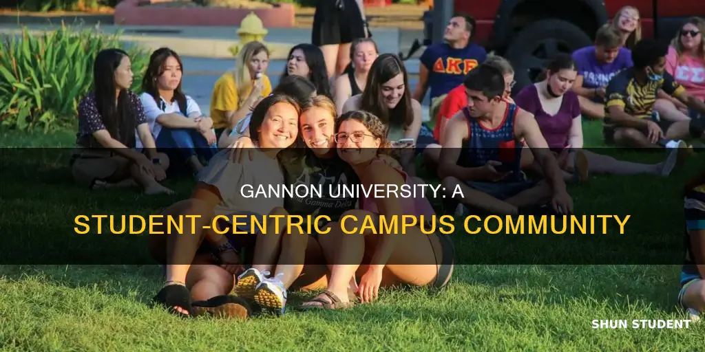 how many students attend gannon university