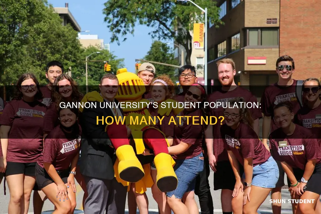 how many students attend gannon university