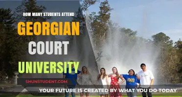 Georgian Court University: Student Population Insights