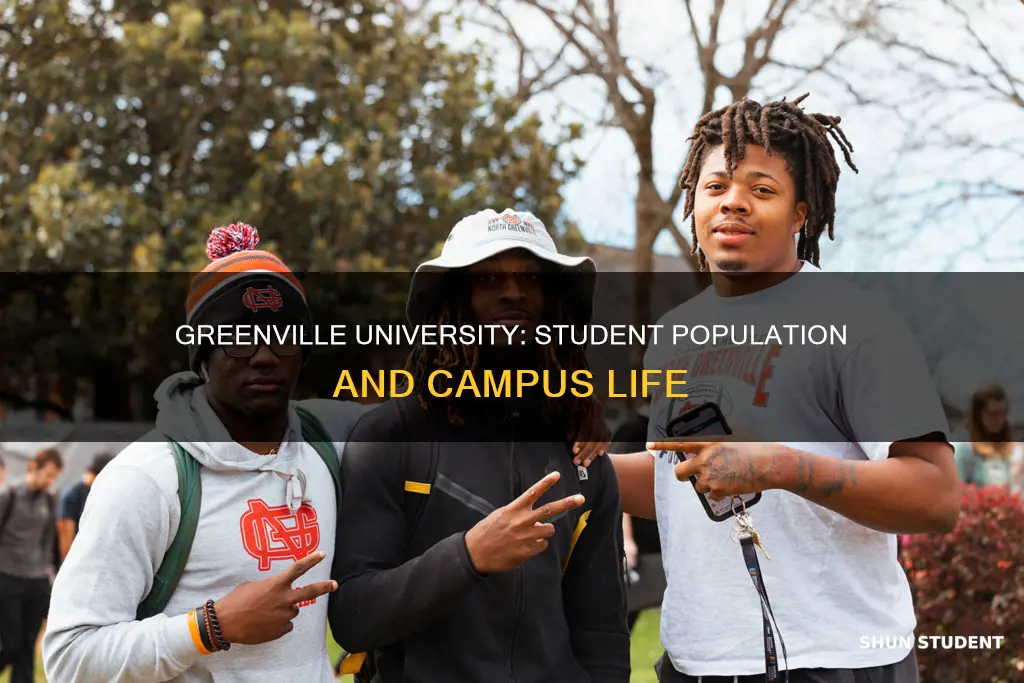 how many students attend greenville university