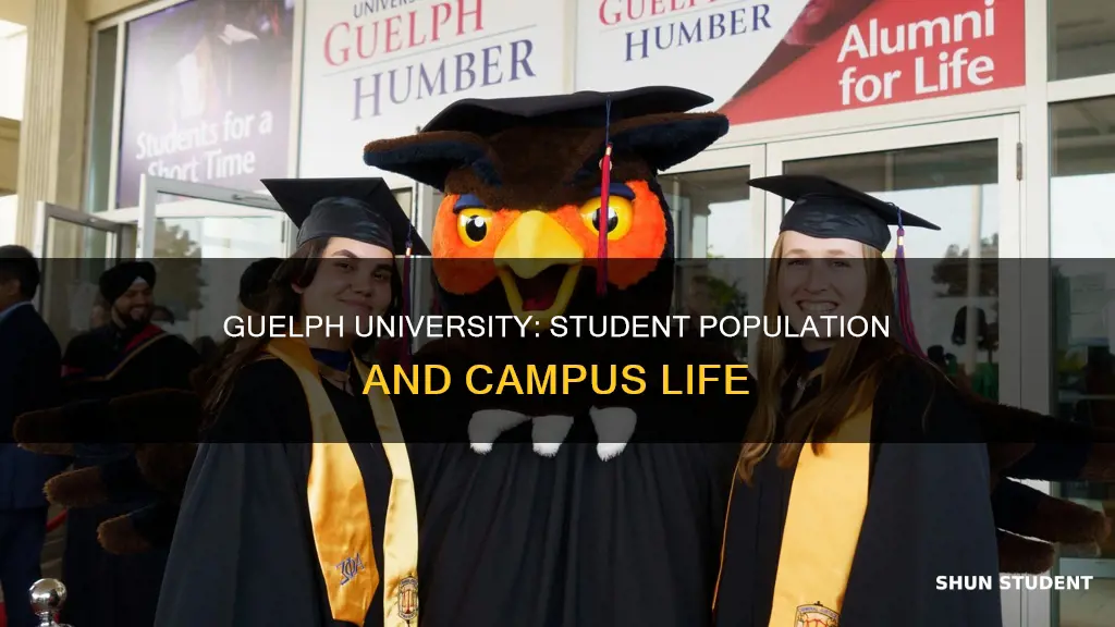 how many students attend guelph university