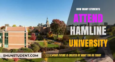 Hamline University: Student Population and You