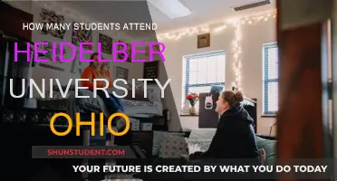 Ohio's Heidelberg University: Student Population and Campus Life