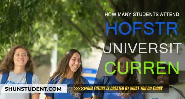 Hofstra University's Current Student Population Explored