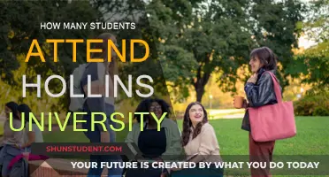 Hollins University: Current Student Population and Insights