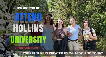Attendee Figures for Hollins University: A Comprehensive Overview