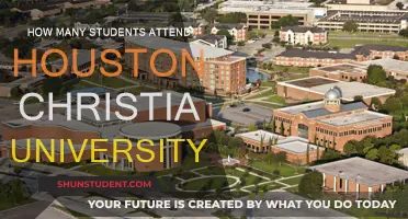 Christian University's Student Population in Houston