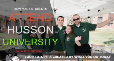 Exploring Student Numbers at Husson University