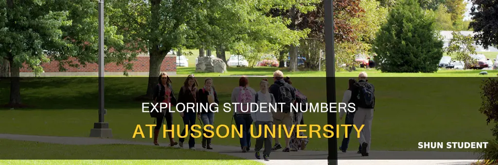 how many students attend husson university