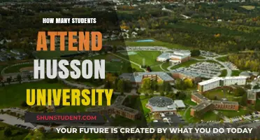 Exploring Student Numbers at Husson University