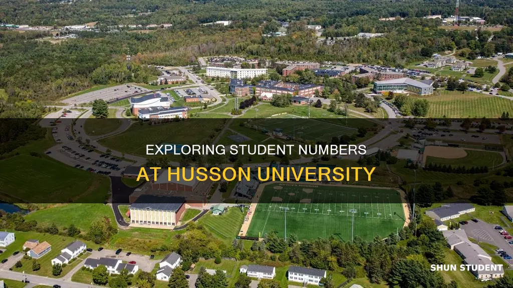 how many students attend husson university