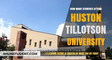 Huston Tillotson University: Student Population and Insights
