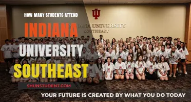 Indiana University Southeast: Student Population Insights