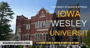 Iowa Wesleyan University: Student Population and Insights