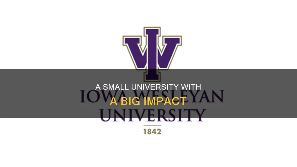 how many students attend iowa wesleyan university