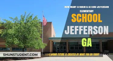Exploring Enrollment Numbers at Jefferson Elementary School, Georgia