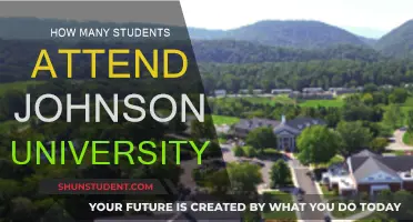 Exploring Enrollment: Johnson University's Student Population