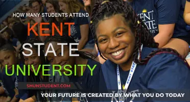 Exploring Kent State University's Student Population