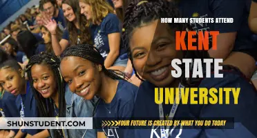 Exploring Kent State University's Student Population