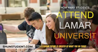 Lamar University Student Population: How Many Attend?