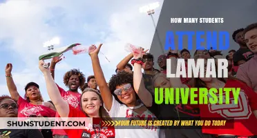 Lamar University's Student Population: How Many Attend?