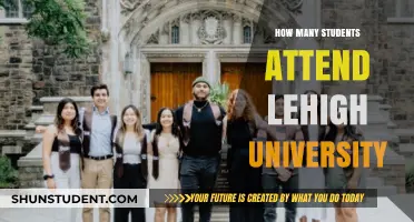 Lehigh University: Student Population and Campus Life