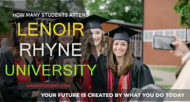 Discover Lenoir-Rhyne University's Student Population