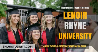 Discover Lenoir-Rhyne University's Student Population