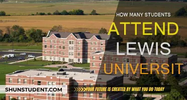 Lewis University Student Population: How Many Attend?