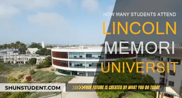 Exploring Lincoln Memorial University's Student Population