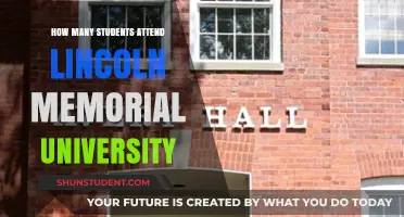 Attendee Numbers at Lincoln Memorial University