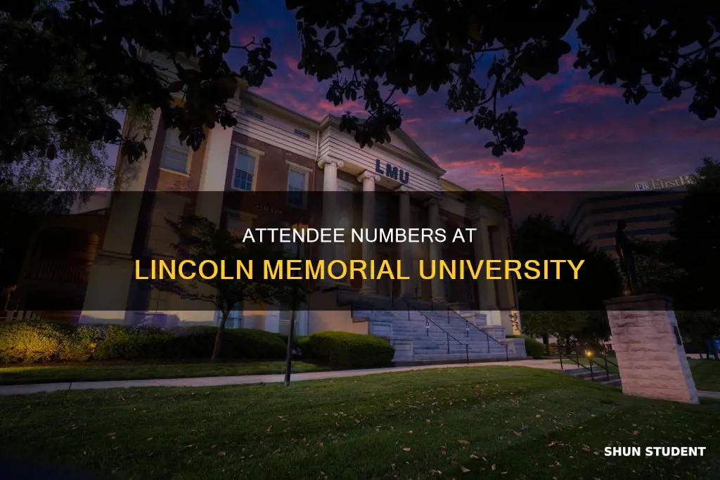 how many students attend lincoln memorial university