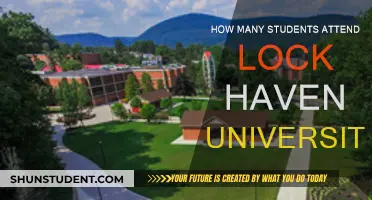 Exploring Lock Haven University's Student Population