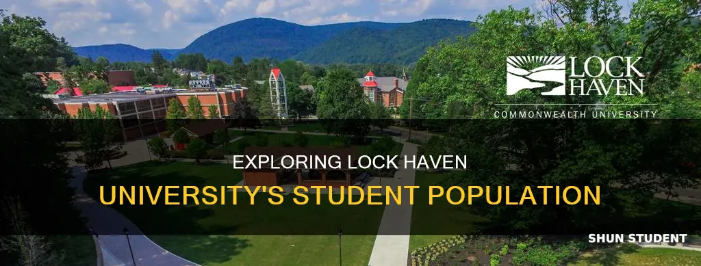 how many students attend lock haven university