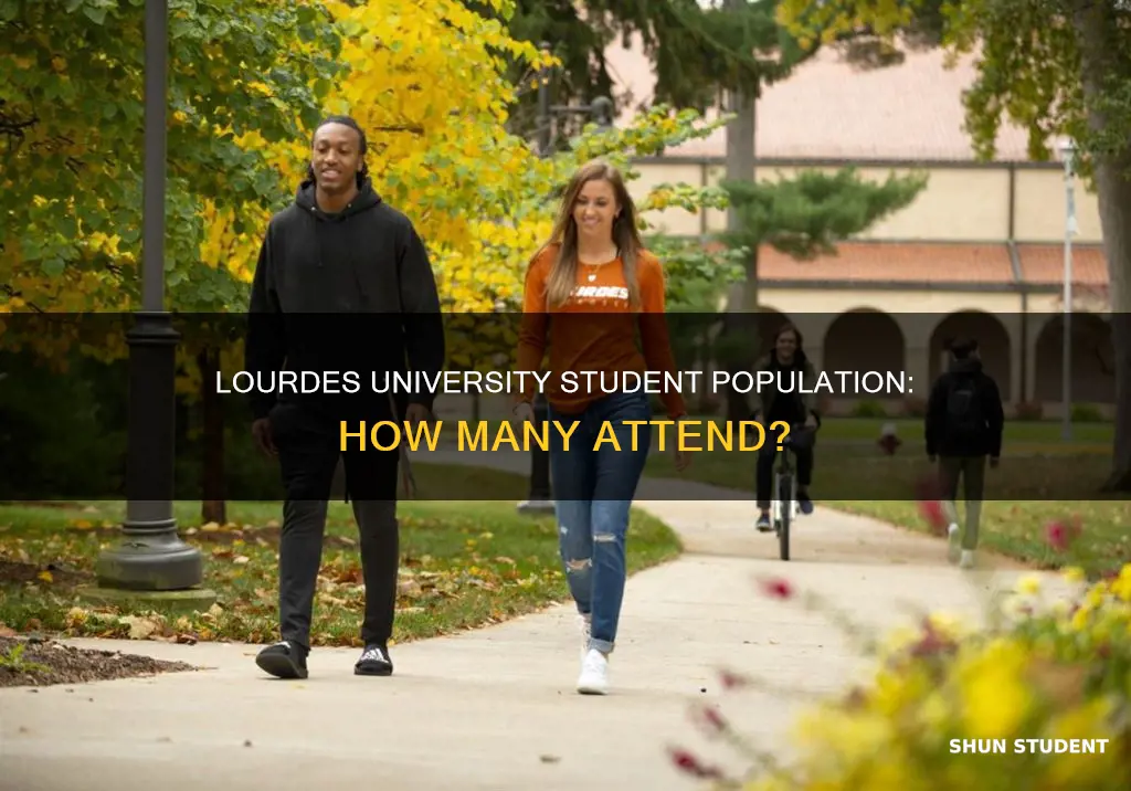 how many students attend lourdes university