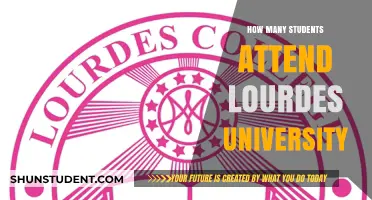 Lourdes University Student Population: Numbers and Trends