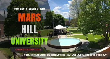 Mars Hill University: Student Population and Insights