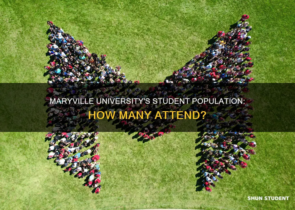 how many students attend maryville university