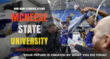 Attendee Figures for McNeese State University